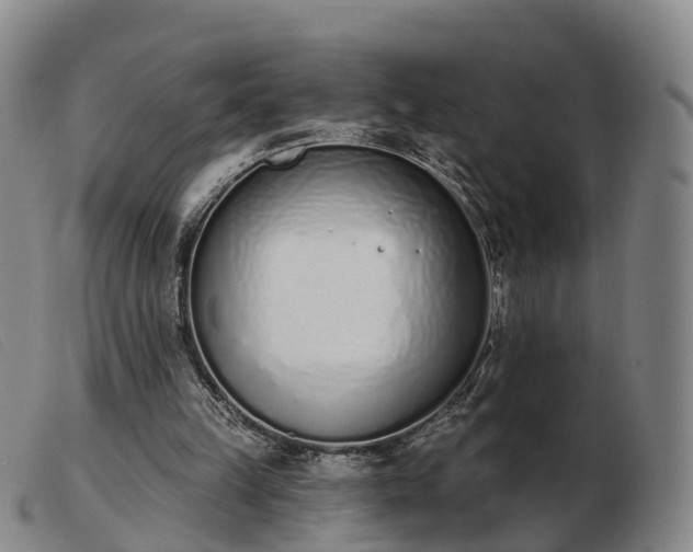 X0000103440149200809191733