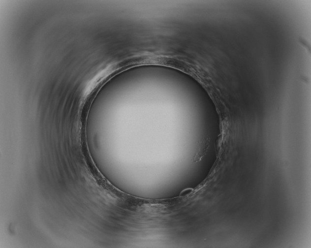 X0000103440150200809191733