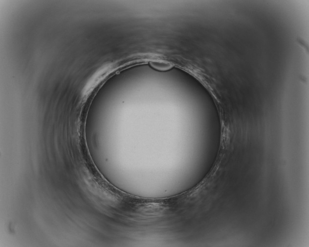 X0000103440151200809191733