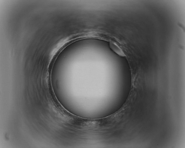 X0000103440152200809191733