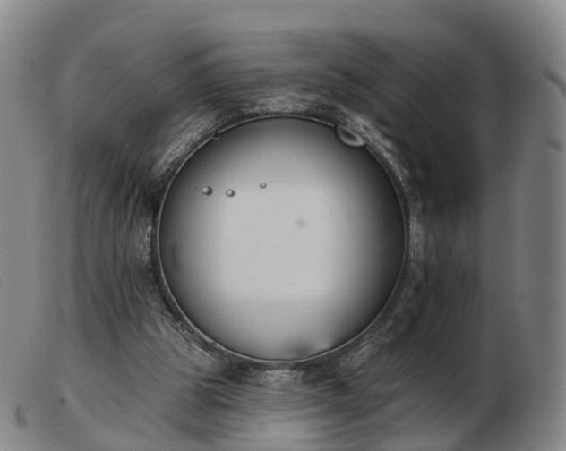 X0000103440153200809191733