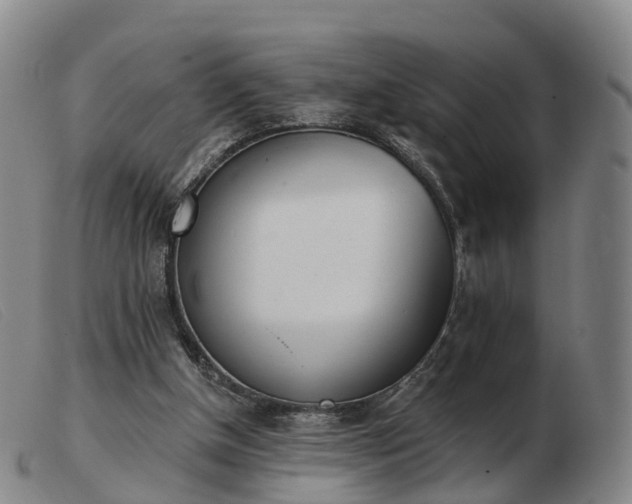 X0000103440154200809191733