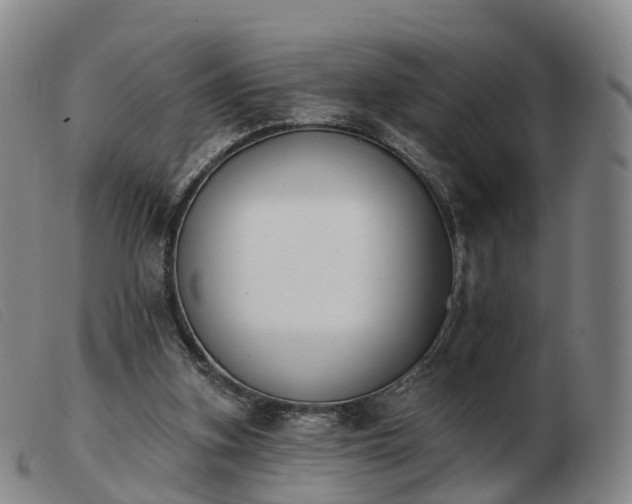 X0000103440155200809191733