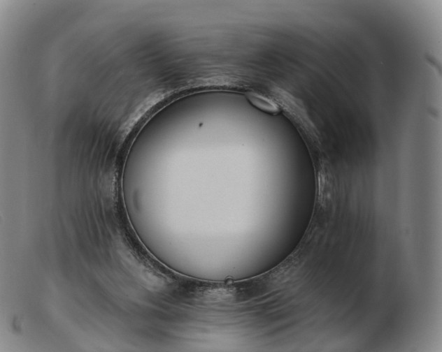 X0000103440156200809191733