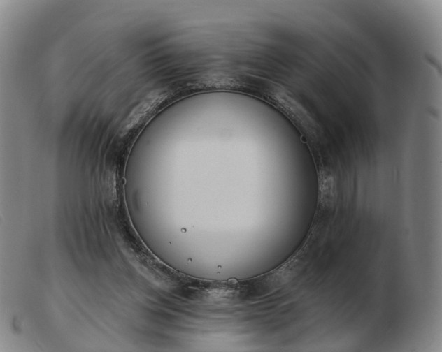 X0000103440158200809191733