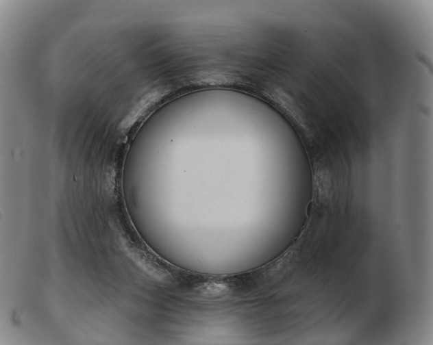 X0000103440159200809191733
