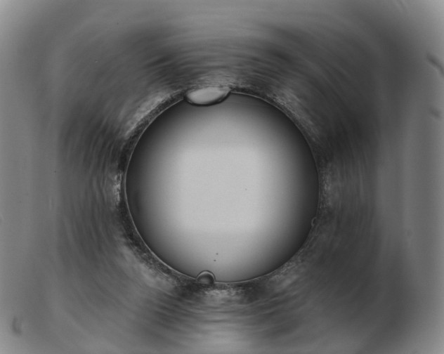 X0000103440160200809191733
