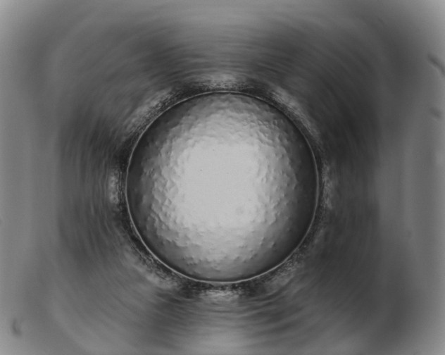 X0000103440161200809191733