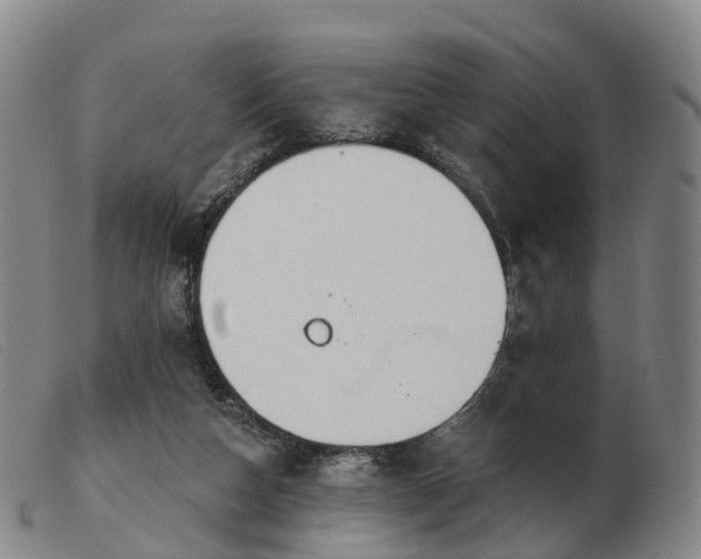 X0000103440162200809191733