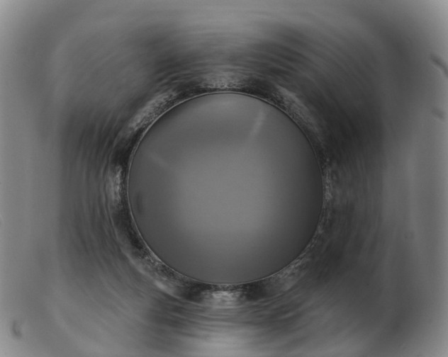 X0000103440163200809191733