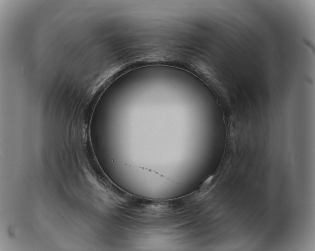 X0000103440164200809191733