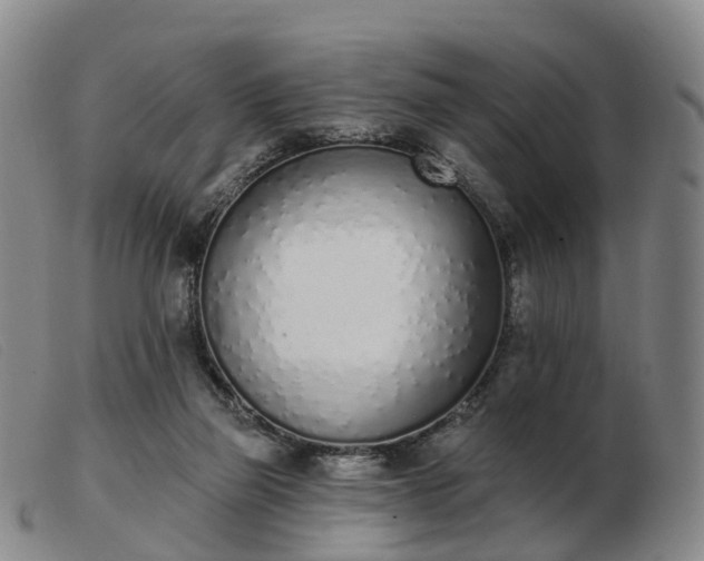 X0000103440165200809191733