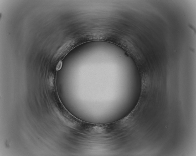 X0000103440166200809191733