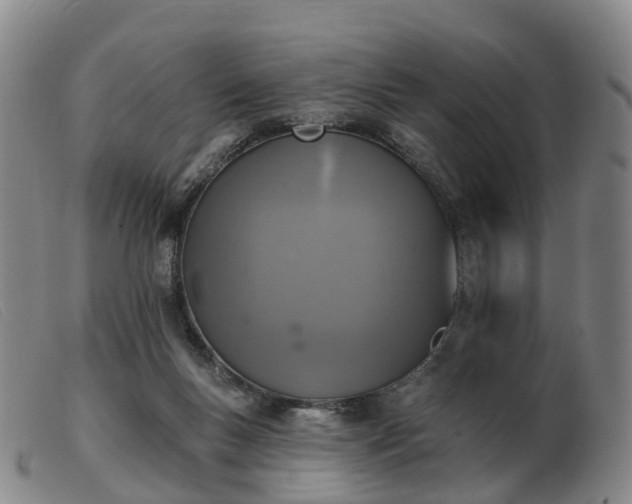 X0000103440167200809191733