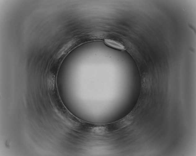 X0000103440168200809191733