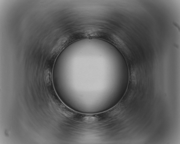 X0000103440169200809191733