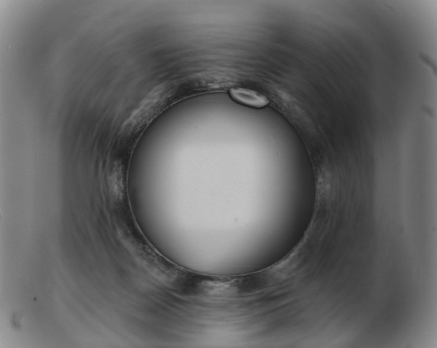 X0000103440170200809191733