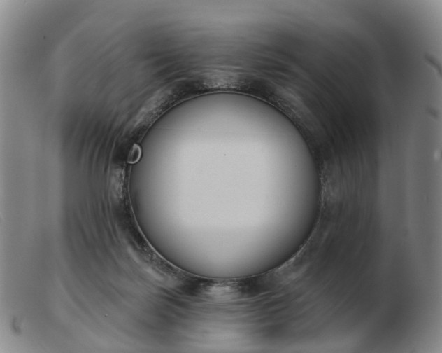 X0000103440171200809191733