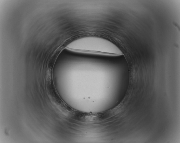 X0000103440172200809191733