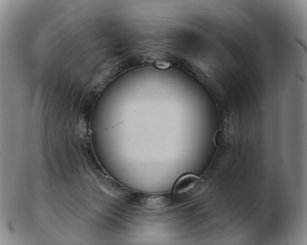 X0000103440173200809191733