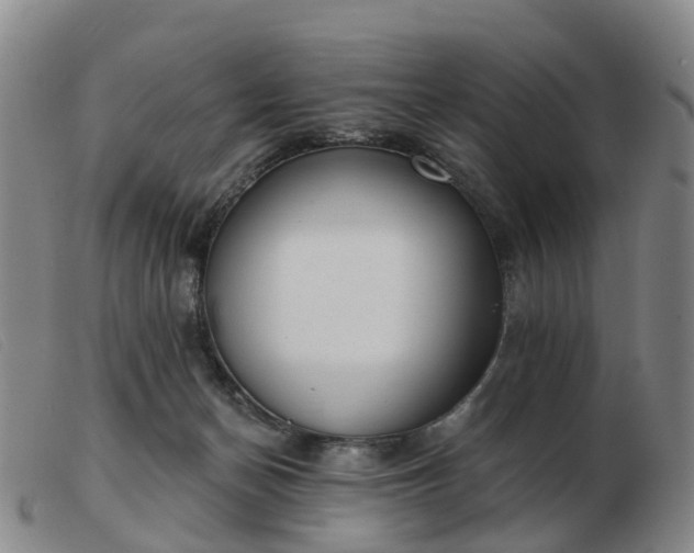 X0000103440174200809191733