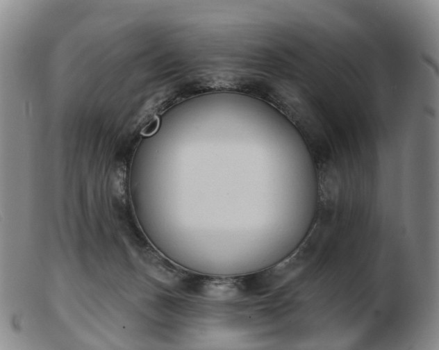 X0000103440175200809191733