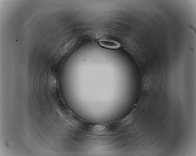 X0000103440176200809191733