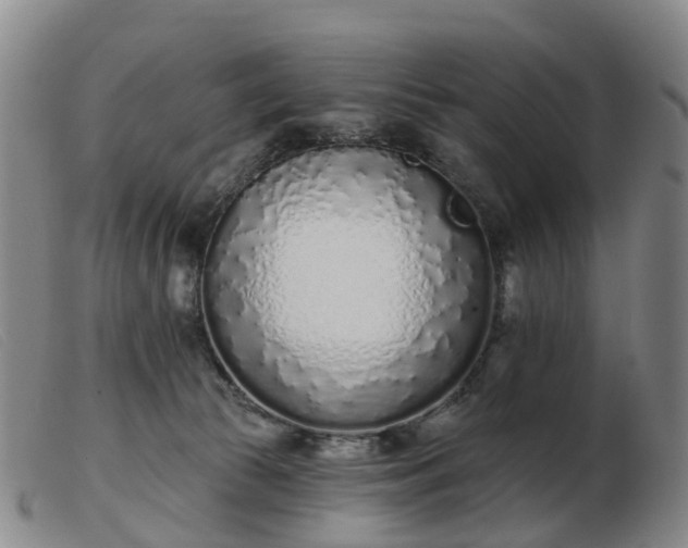 X0000103440177200809191733