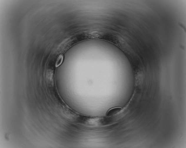 X0000103440178200809191733