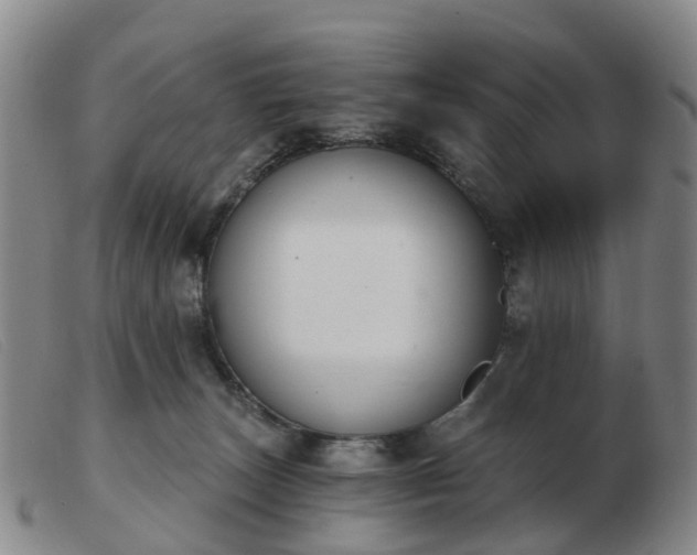 X0000103440179200809191733