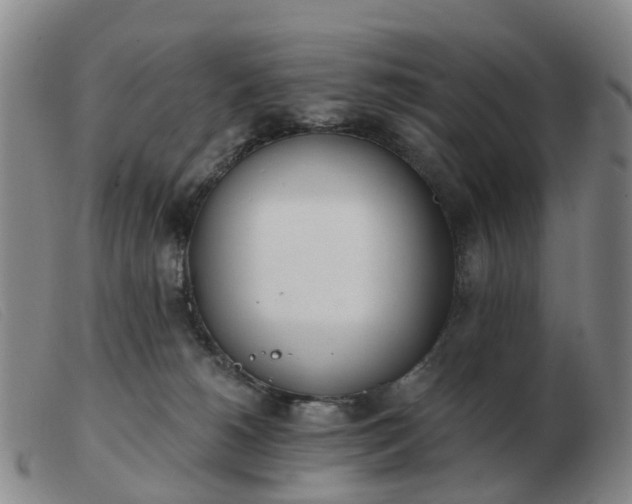X0000103440180200809191733