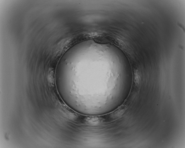 X0000103440181200809191733