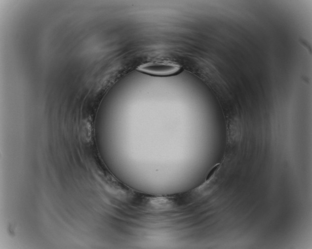X0000103440183200809191733