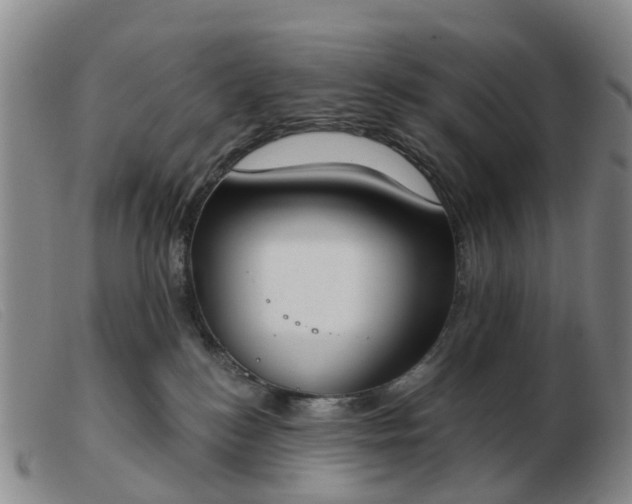 X0000103440184200809191733