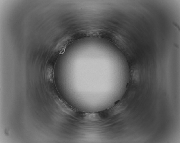 X0000103440185200809191733