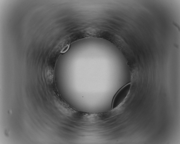 X0000103440186200809191733