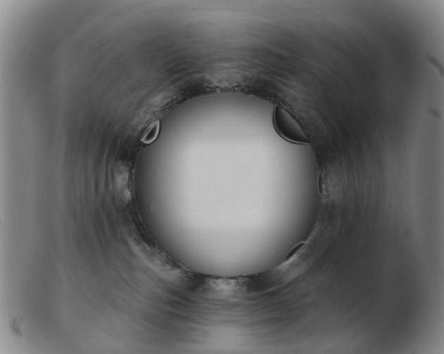 X0000103440187200809191733
