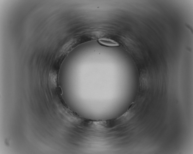 X0000103440188200809191733
