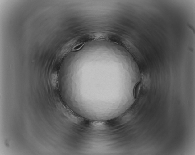 X0000103440189200809191733