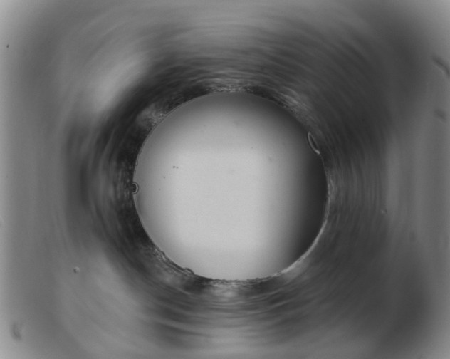 X0000103440190200809191733