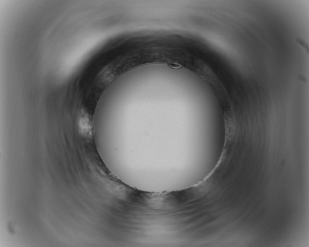 X0000103440191200809191733