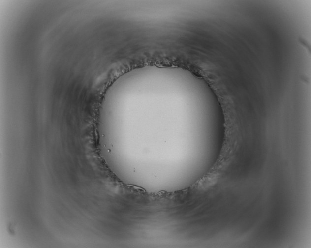 X0000103440192200809191733
