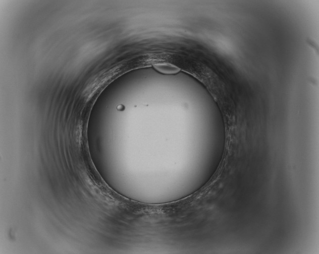 X0000103440194200809191732