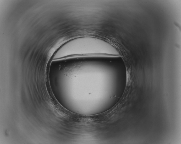 X0000103440195200809191732