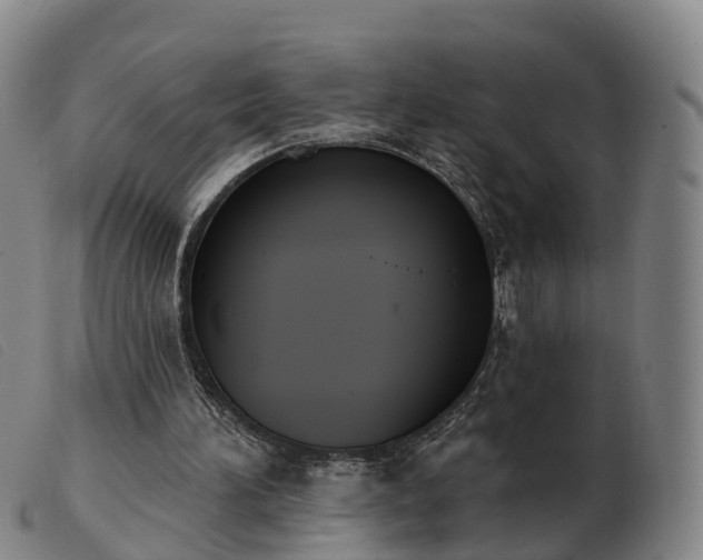 X0000103440196200809191732