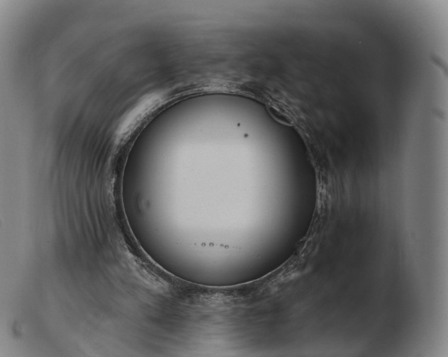 X0000103440197200809191732