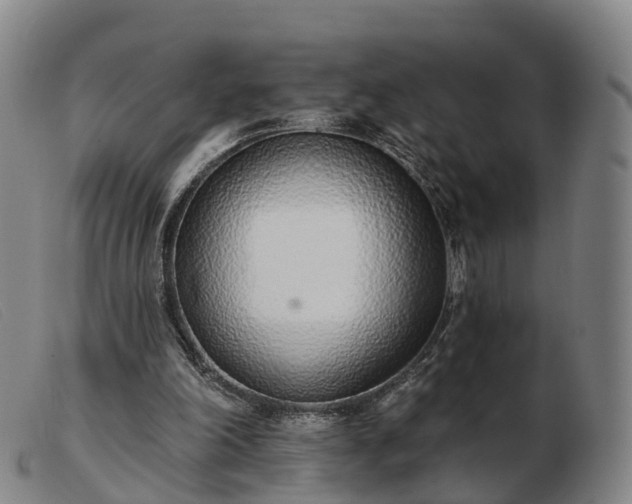 X0000103440198200809191732
