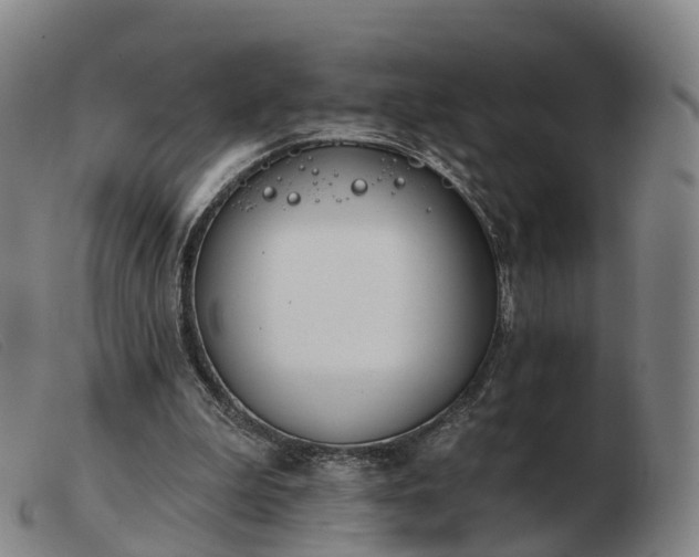 X0000103440199200809191732