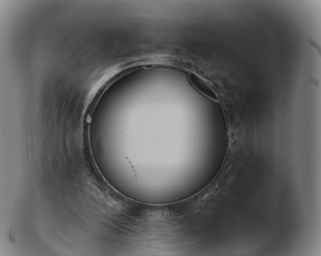 X0000103440200200809191732