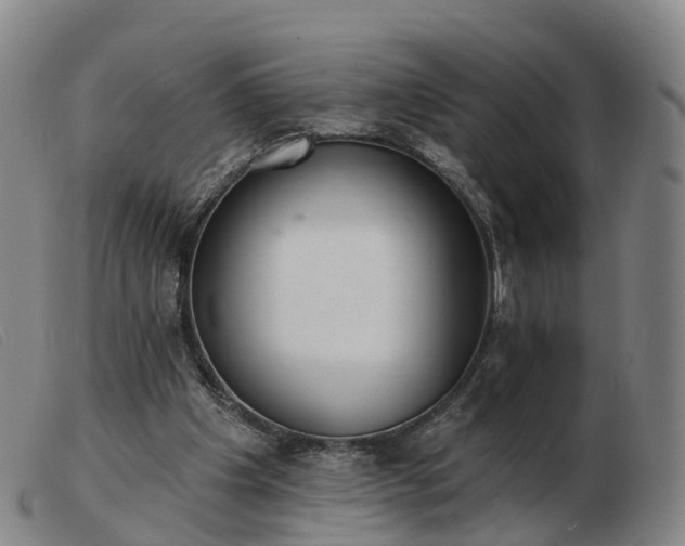 X0000103440201200809191732